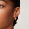 imagePAVOI 14K Gold Plated Lightweight Chunky Open Hoops for Women  Trendy Gold Hoop EarringsRose Gold