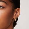 imagePAVOI 14K Gold Plated Lightweight Chunky Open Hoops for Women  Trendy Gold Hoop EarringsYellow Gold