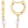 imagePAVOI 14K Gold Plated S925 Sterling Silver Post Lightweight DropDangle Huggie Earrings for Women  Religious Ornament Cross Evil Eye Clover Celtic  Dainty Earrings for WomenYellow Gold