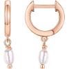 imagePAVOI 14K Gold Plated S925 Sterling Silver Post Lightweight DropDangle Huggie Earrings for Women  Religious Ornament Cross Evil Eye Clover Celtic  Dainty Earrings for WomenRose Gold
