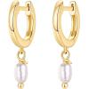 imagePAVOI 14K Gold Plated S925 Sterling Silver Post Lightweight DropDangle Huggie Earrings for Women  Religious Ornament Cross Evil Eye Clover Celtic  Dainty Earrings for WomenYellow Gold