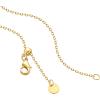 imagePAVOI 14K Gold Plated Engraved Coin Pendant Necklaces for Women  Byzantine Coin Pendants  Bohemian NecklaceYellow Gold