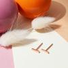 imagePAVOI 14K Gold Plated Sterling Silver Bar Dot Heart Triangle Star Cat  Dainty Earrings for WomenRose Gold