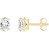 imagePAVOI 14K Gold Plated Sterling Silver Cubic Zirconia Stud Earrings for Women  Simulated Diamond CZ EarringsYellow Gold