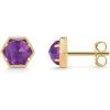 imagePAVOI 14K Gold Plated Hexagon Gemstone Stud Earrings for Women  Natural Birthstone Earring PairAmethyst