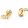 imagePAVOI 14K Gold Plated Sterling Silver Posts Zodiac Sign Flat Back Earring Studs  Birthday Gift for Women  Astrology Earring PairAquarius
