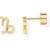 imagePAVOI 14K Gold Plated Sterling Silver Posts Zodiac Sign Flat Back Earring Studs  Birthday Gift for Women  Astrology Earring PairCapricorn