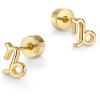 imagePAVOI 14K Gold Plated Sterling Silver Posts Zodiac Sign Flat Back Earring Studs  Birthday Gift for Women  Astrology Earring PairCapricorn