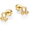 imagePAVOI 14K Gold Plated Sterling Silver Posts Zodiac Sign Flat Back Earring Studs  Birthday Gift for Women  Astrology Earring PairLeo