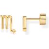 imagePAVOI 14K Gold Plated Sterling Silver Posts Zodiac Sign Flat Back Earring Studs  Birthday Gift for Women  Astrology Earring PairScorpio