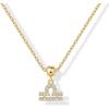 imagePAVOI Adjustable Gold Charm Necklace for Women  14K Gold Plated Chain Dainty Initial Necklaces for Women  Trendy Letter Zodiac Birthstone Cubic Zirconia Charm Pendants  Hypoallergenic Jewelry GiftYellow Gold