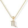 imagePAVOI Adjustable Gold Charm Necklace for Women  14K Gold Plated Chain Dainty Initial Necklaces for Women  Trendy Letter Zodiac Birthstone Cubic Zirconia Charm Pendants  Hypoallergenic Jewelry GiftYellow Gold
