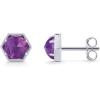 imagePAVOI 14K Gold Plated Hexagon Gemstone Stud Earrings for Women  Natural Birthstone Earring PairAmethyst