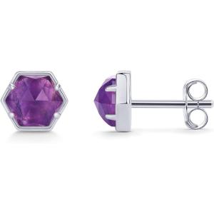 imagePAVOI 14K Gold Plated Hexagon Gemstone Stud Earrings for Women  Natural Birthstone Earring PairAmethyst