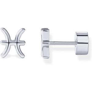 imagePAVOI 14K Gold Plated Sterling Silver Posts Zodiac Sign Flat Back Earring Studs  Birthday Gift for Women  Astrology Earring PairPisces