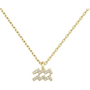 imagePAVOI 14K Gold Plated Cubic Zirconia Astrology Necklaces for Women  Zodiac Pendant Jewelry Gifts  Zodiac Sign Pendant NecklacesAquarius