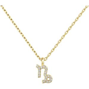 imagePAVOI 14K Gold Plated Cubic Zirconia Astrology Necklaces for Women  Zodiac Pendant Jewelry Gifts  Zodiac Sign Pendant NecklacesCapricorn