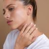 imagePAVOI 14K Gold Plated Solid 925 Sterling Silver Post Cubic Zirconia Stud Flat Back Earrings for Women  Cartilage Earring  Helix Piercing Jewelry  Small Stud Earrings for WomenRose Gold