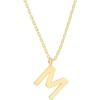 imagePAVOI 14K Gold Plated Initial Necklace  Letter Necklaces for Women M