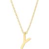 imagePAVOI 14K Gold Plated Initial Necklace  Letter Necklaces for Women Y