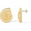 imagePAVOI 14K Gold Plated Sterling Silver Posts Seashell Statement Earrings for Women  Cubic Zirconia Reconstructed Baroque Freshwater Pearl Stud Earring  Brushed Textured Conch Chunky EarringsChunky Seashell