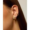 imagePAVOI 18K Gold Plated Sterling Silver Posts Small Hoop Earrings for Women  Trendy Geometric Plain Chunky Huggie Earscape Piercing Pack  Everyday Gold Hoop Earrings SetWide