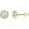 imagePAVOI 14K Gold Plated Sterling Silver Post Brilliant Round Faux Diamond Halo Earrings  Premium Cubic Zirconia in Rose White and Yellow GoldYellow Gold
