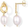 imagePAVOI 14K Gold Plated Pearl Earrings for Women  Pearl Statement Drop Bridal Earrings  Sterling Silver Posts Dangle Studs Gold Wedding JewelryYellow Gold