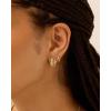 image:imagePAVOI 14K Gold Plated Ribbed Hoop Earrings for Women  Chunky Ridge Statement Earrings  Boho Puffy Croissant Huggie Hoops Trendy Gold JewelryWhite Gold